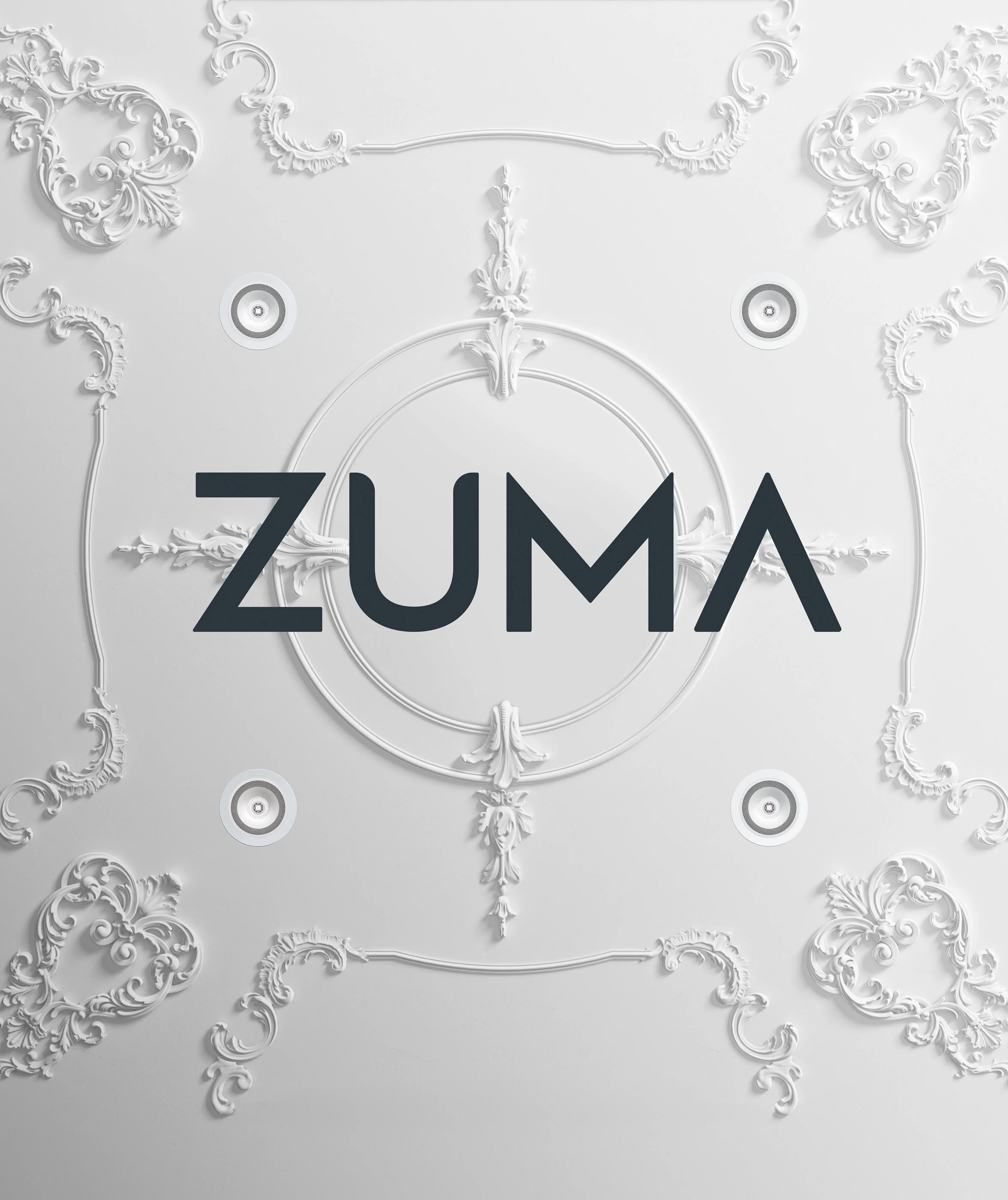 ZUMA Luminaire Light Only with Simplicity R Bezel - Image 3